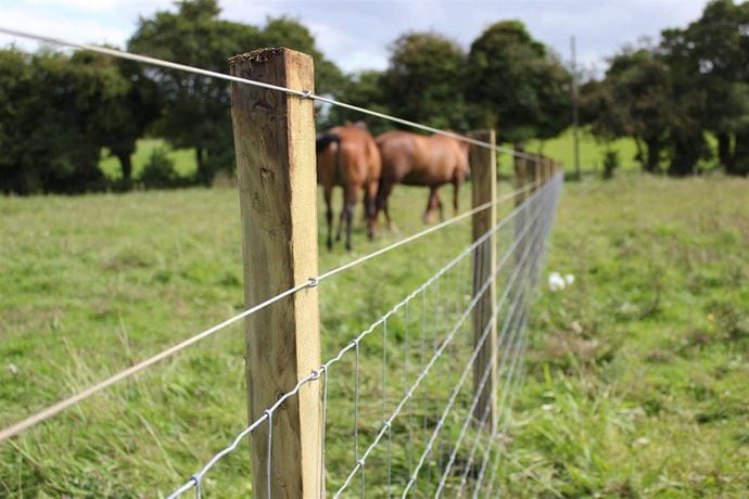 Agricultural fencing Huntingdon