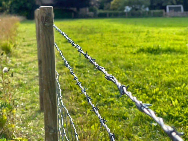 Barbed wire agricultural fencing St. Ives