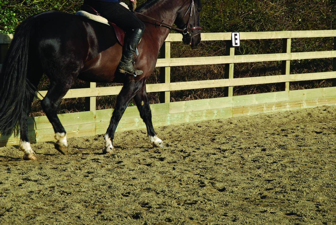 Equestrian timber fencing St. Ives