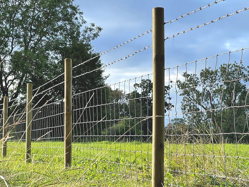Fence Stakes Stock Netting and Barbed Wire