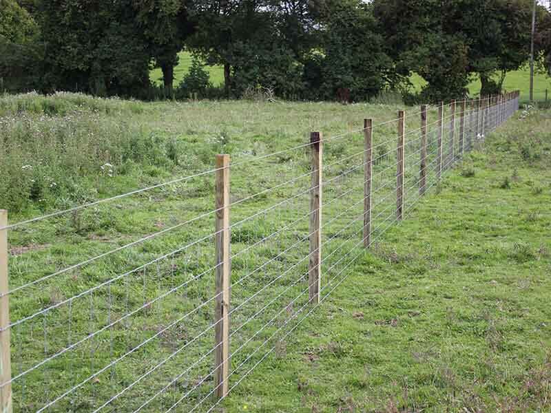 Stock fencing to stop forest animals