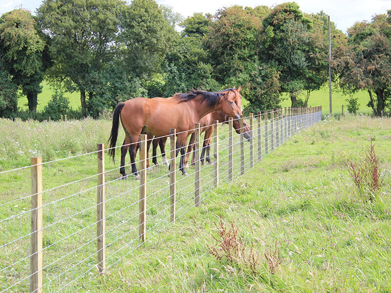 Livestock fencing